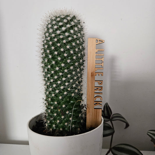 Funny Pot Plant Stakes