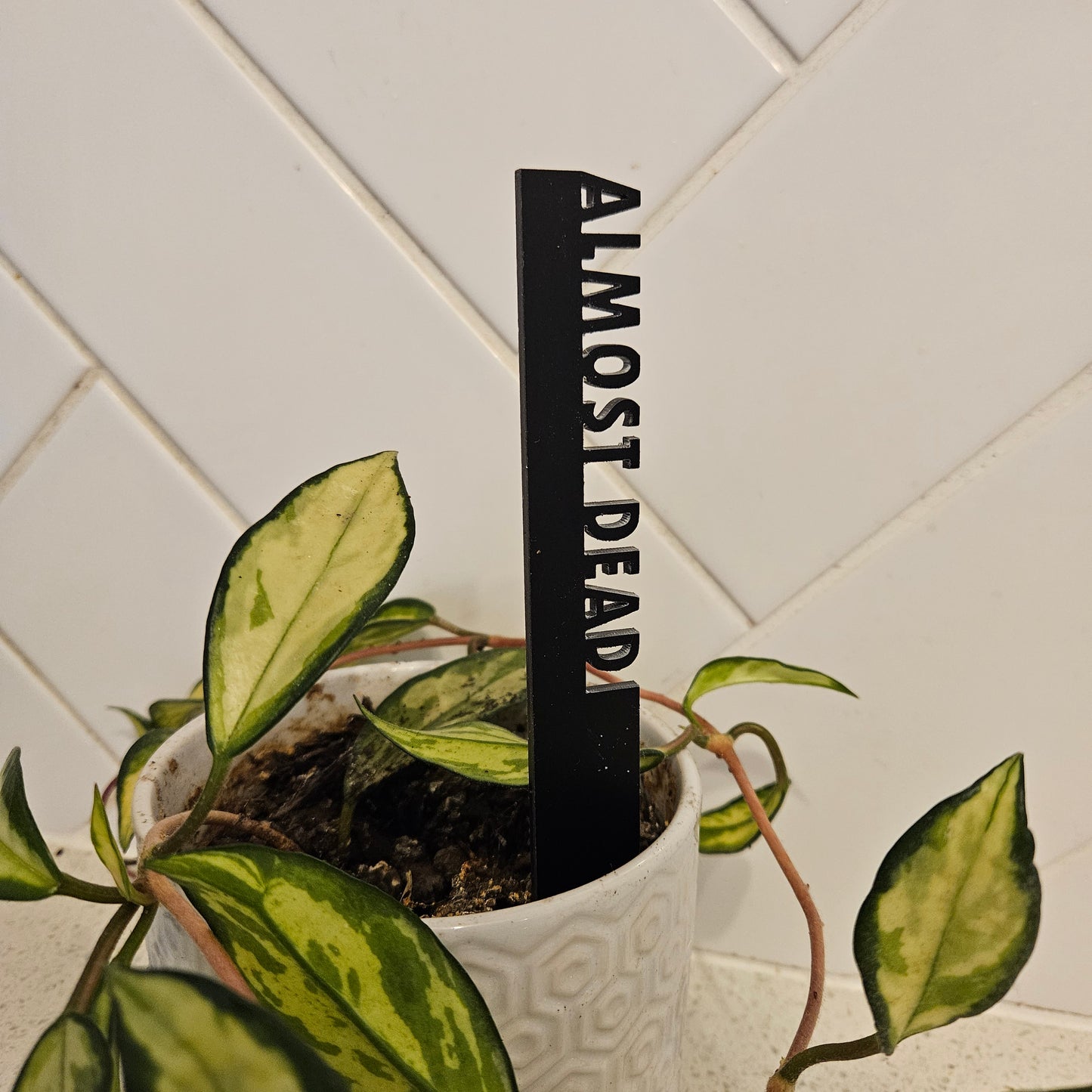 Funny Pot Plant Stakes