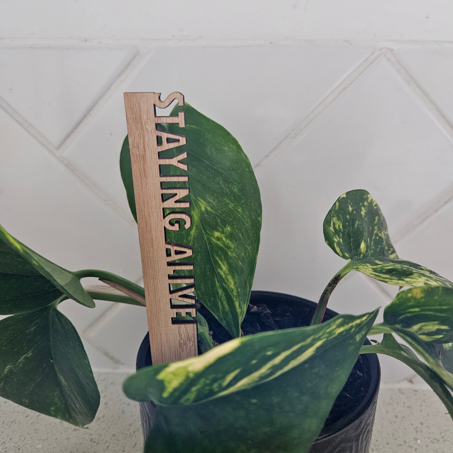 Funny Pot Plant Stakes