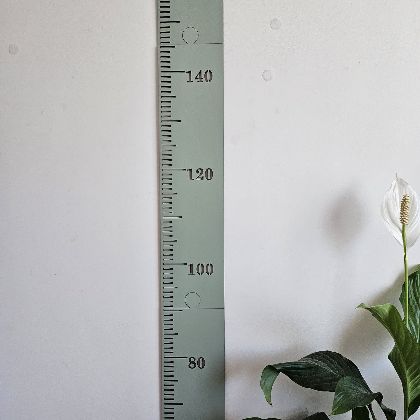 Sectional Height Chart Painted