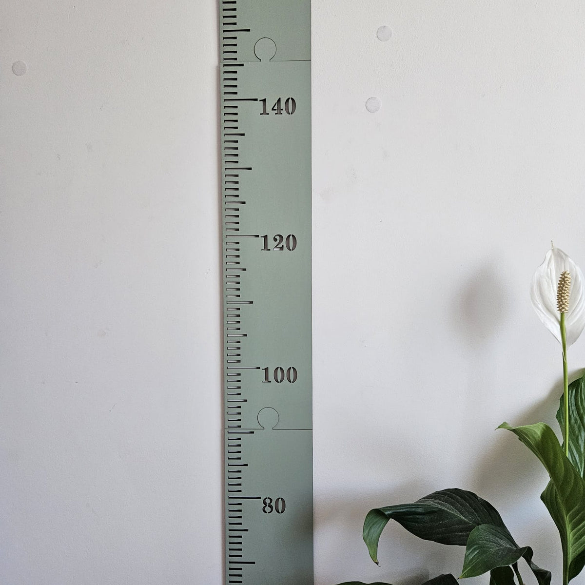 Sectional Height Chart Painted
