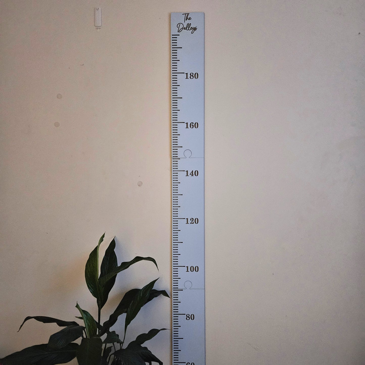 Sectional Height Chart Painted