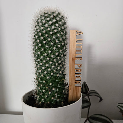 Funny Pot Plant Stakes