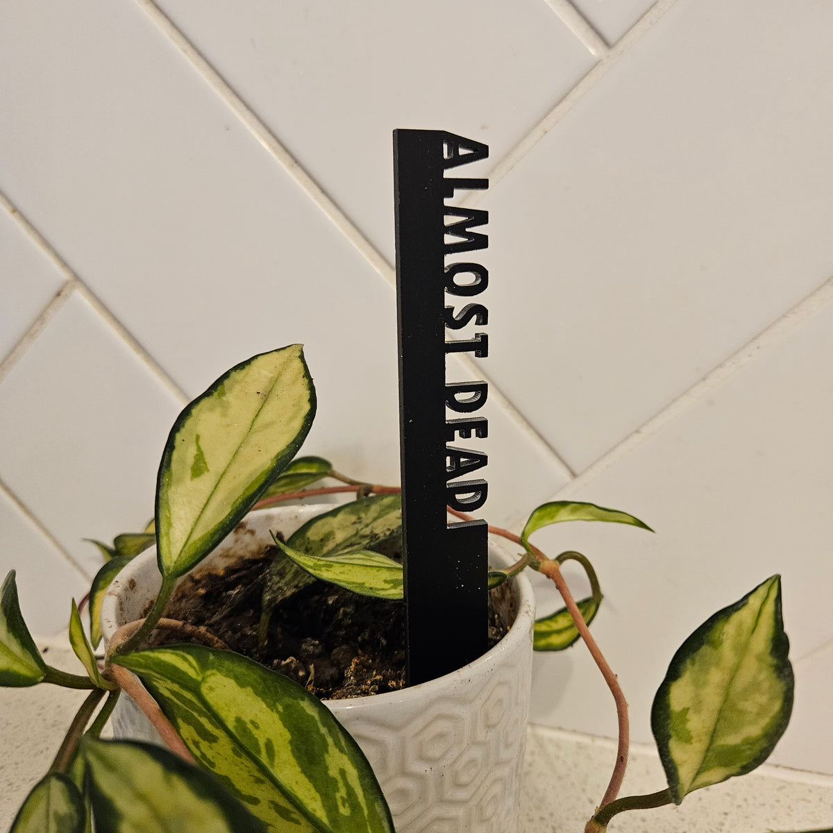 Funny Pot Plant Stakes