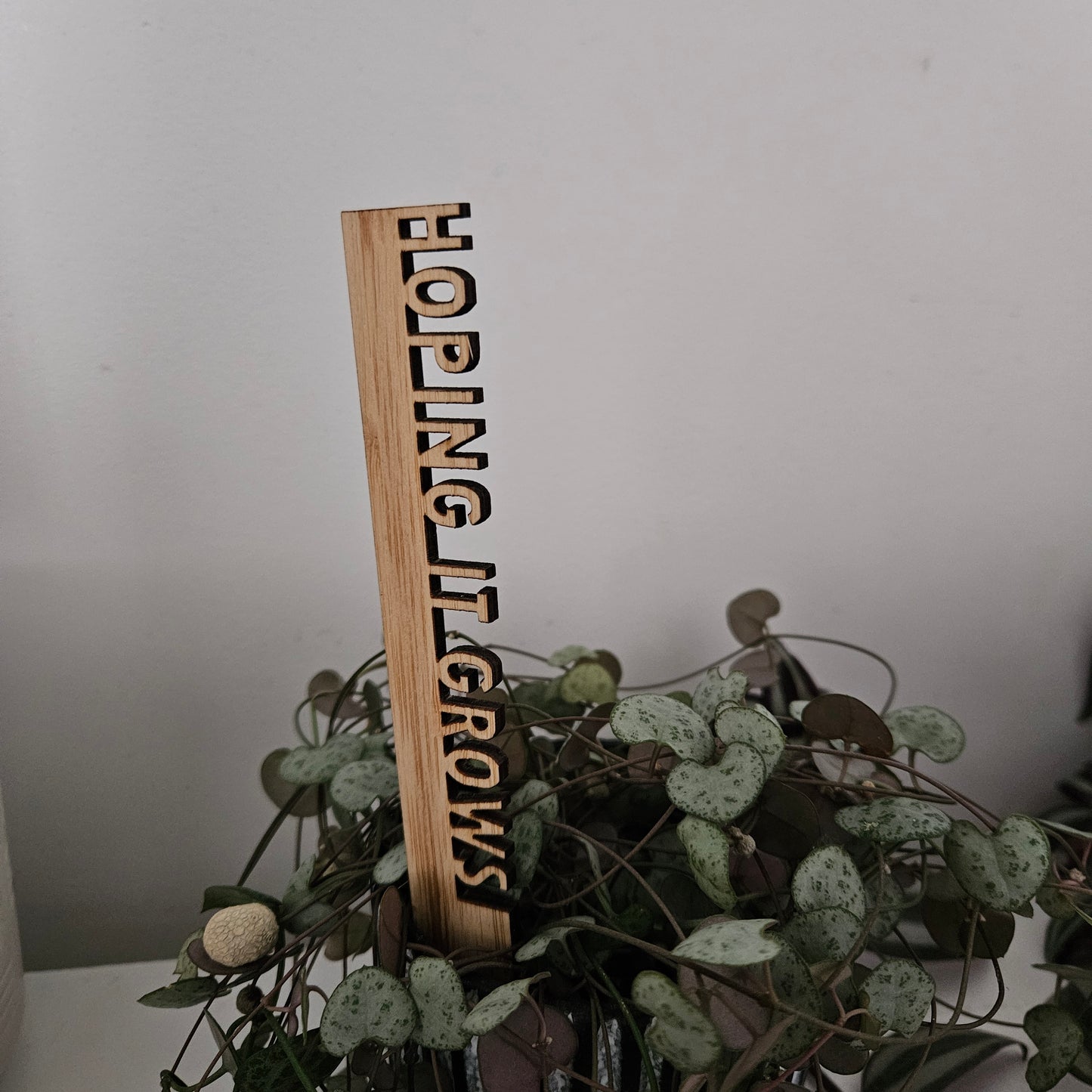 Funny Pot Plant Stakes