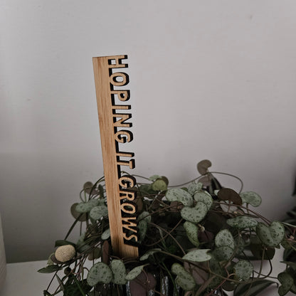 Funny Pot Plant Stakes